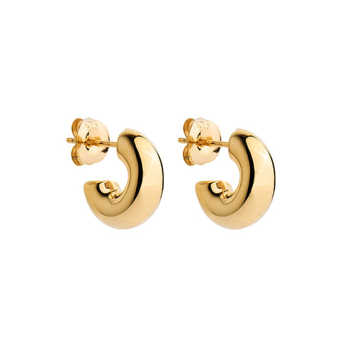 Najo E7073 Moonbow Gold Stud Earrings