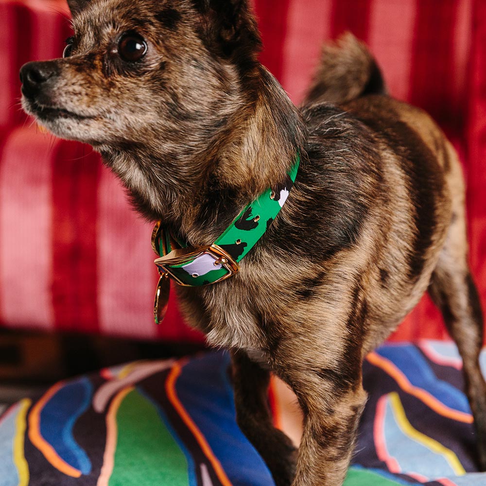 Nice Digs - Animal Dog Collar - Green