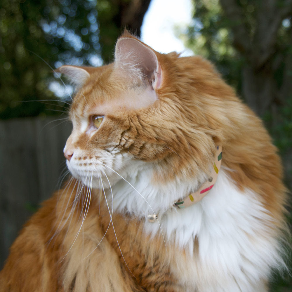 Nice Digs - Jungle Confetti Cat Collar - Multi